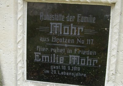 Kmínek Michal, 2019