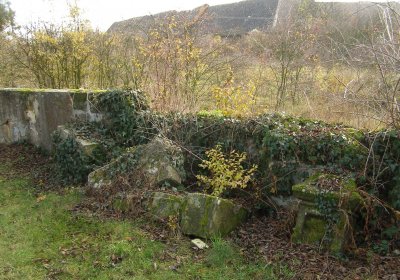 Kmínek Michal, 2019