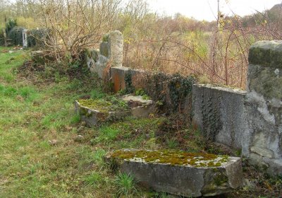 Kmínek Michal, 2019