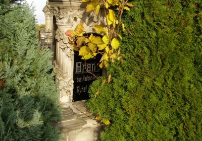 Kmínek Michal, 2019