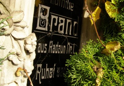 Kmínek Michal, 2019