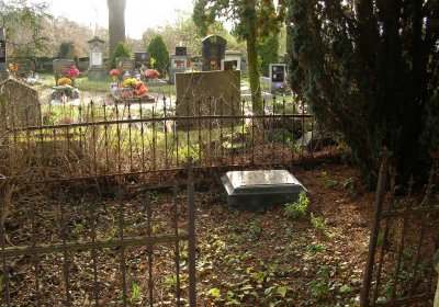 Kmínek Michal, 2019