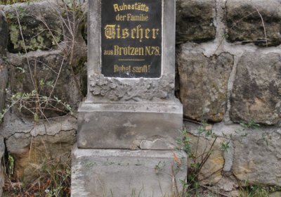 Chcebuz, Omnium, 2020