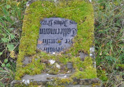 Chcebuz, Omnium, 2020