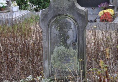 Chcebuz, Omnium, 2020