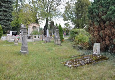 Chcebuz, Omnium, 2020