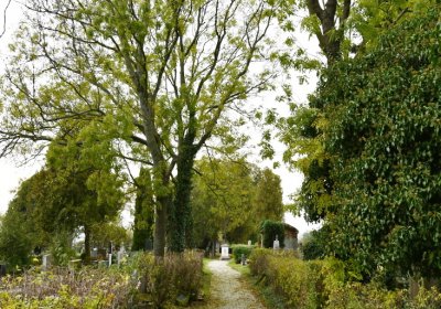 Chcebuz, Omnium, 2020