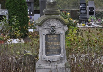 Chcebuz, Omnium, 2020