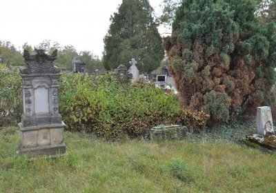 Chcebuz, Omnium, 2020