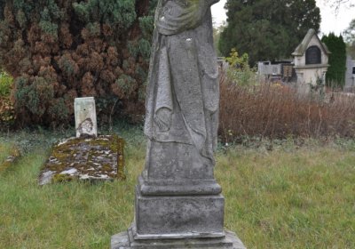 Chcebuz, Omnium, 2020