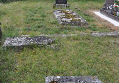 Chcebuz, Omnium, 2020