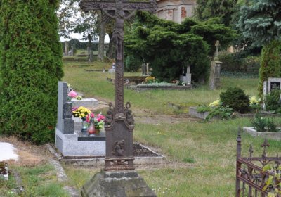 Chcebuz, Omnium, 2020