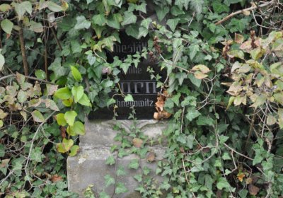 Chcebuz, Omnium, 2020