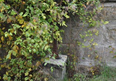 Chcebuz, Omnium, 2020