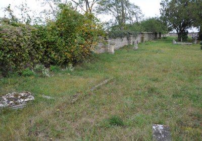 Chcebuz, Omnium, 2020