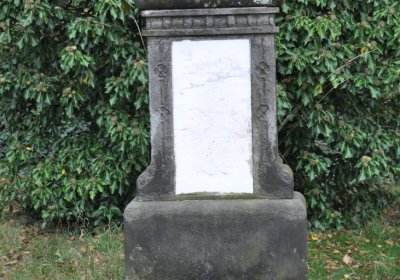 Chcebuz, Omnium, 2020