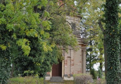 Chcebuz, Omnium, 2020