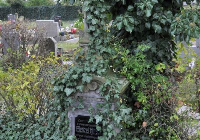 Chcebuz, Omnium, 2020