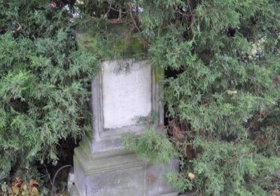 Chcebuz, Omnium, 2020