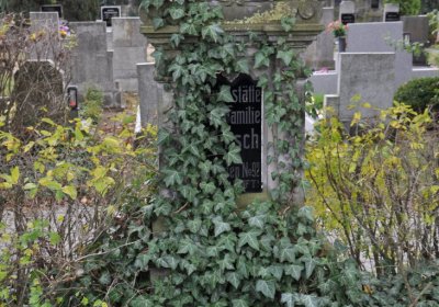 Chcebuz, Omnium, 2020