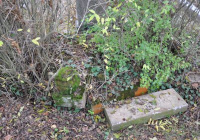 Chcebuz, Omnium, 2020