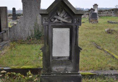 Chcebuz, Omnium, 2020