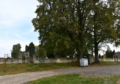 Chcebuz, Omnium, 2020