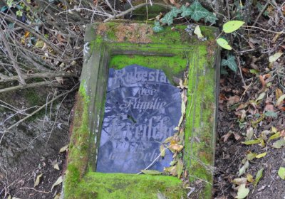 Chcebuz, Omnium, 2020