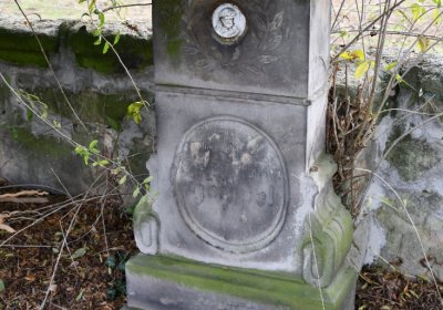 Chcebuz, Omnium, 2020