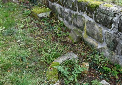 Chcebuz, Omnium, 2020