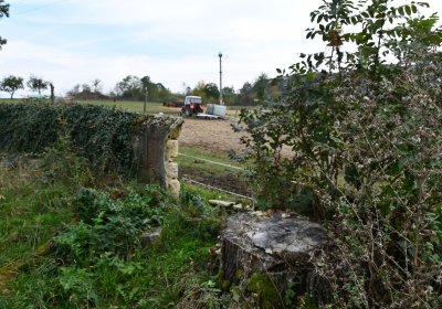 Chcebuz, Omnium, 2020