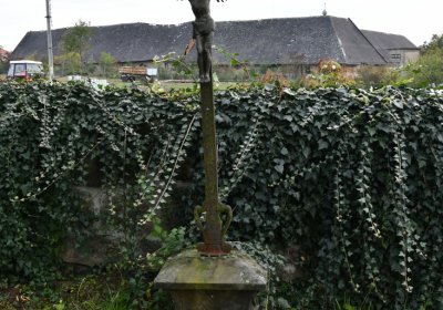 Chcebuz, Omnium, 2020