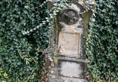 Chcebuz, Omnium, 2020