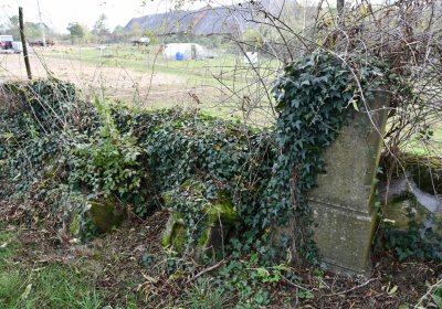 Chcebuz, Omnium, 2020