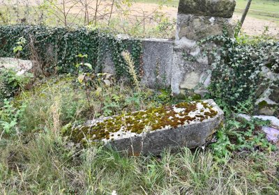 Chcebuz, Omnium, 2020