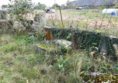 Chcebuz, Omnium, 2020