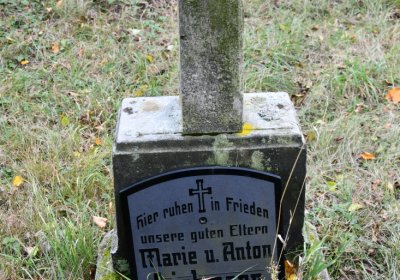 Chcebuz, Omnium, 2020