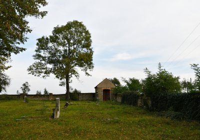 Chcebuz, Omnium, 2020