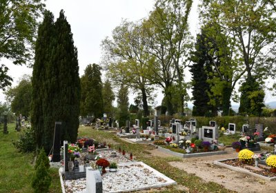 Chcebuz, Omnium, 2020