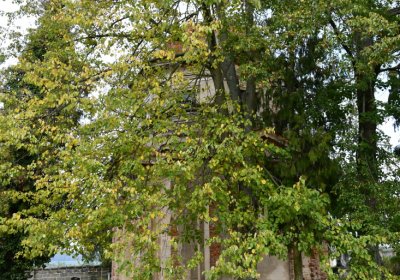 Chcebuz, Omnium, 2020