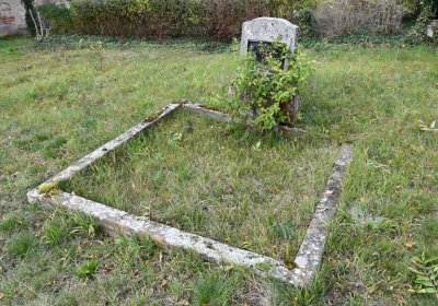 Chcebuz, Omnium, 2020