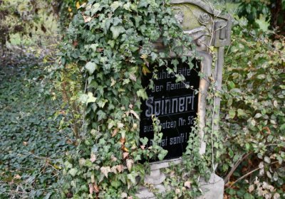 Chcebuz, Omnium, 2020