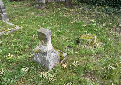 Chcebuz, Omnium, 2020