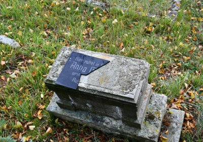 Chcebuz, Omnium, 2020