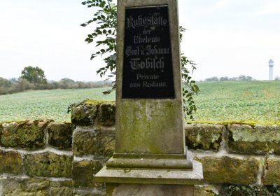 Chcebuz, Omnium, 2020