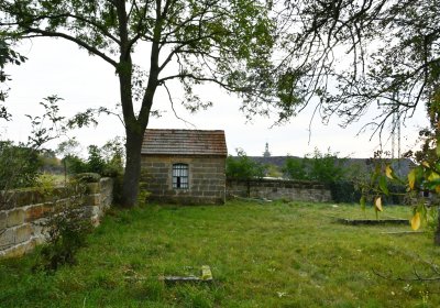 Chcebuz, Omnium, 2020