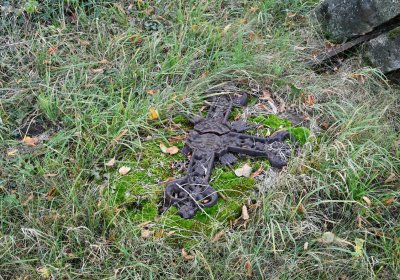 Chcebuz, Omnium, 2020