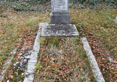 Chcebuz, Omnium, 2020