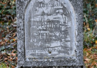 Chcebuz, Omnium, 2020