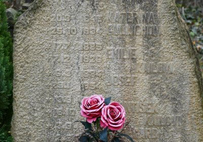 Chcebuz, Omnium, 2020